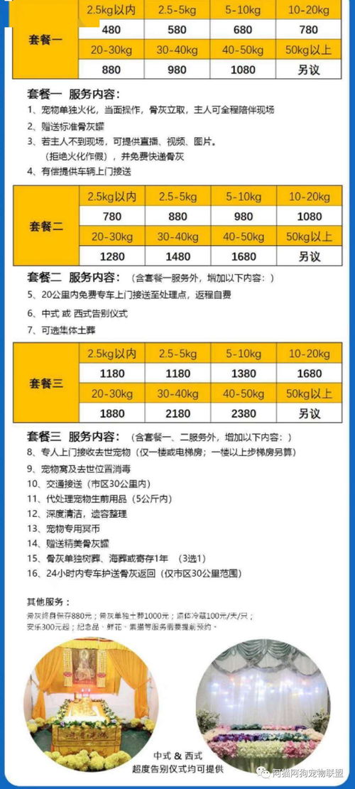 开展宠物火化 殡葬 葬礼 墓碑定制化服务 它值得体面的升往天堂